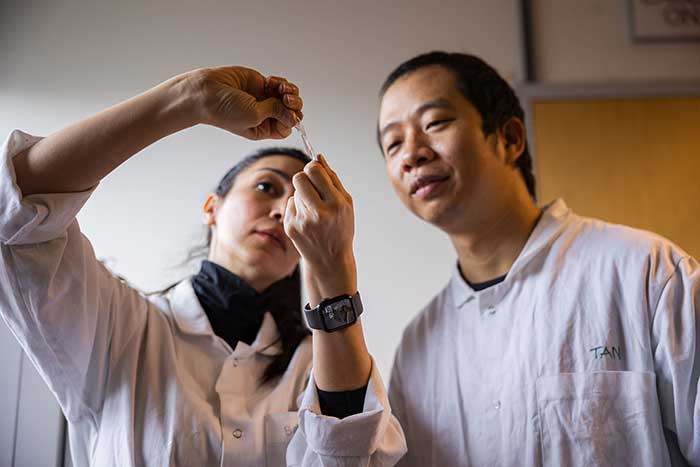 UBC Researchers Develop Stretchy, Washable Batteries for Medical Wearables
