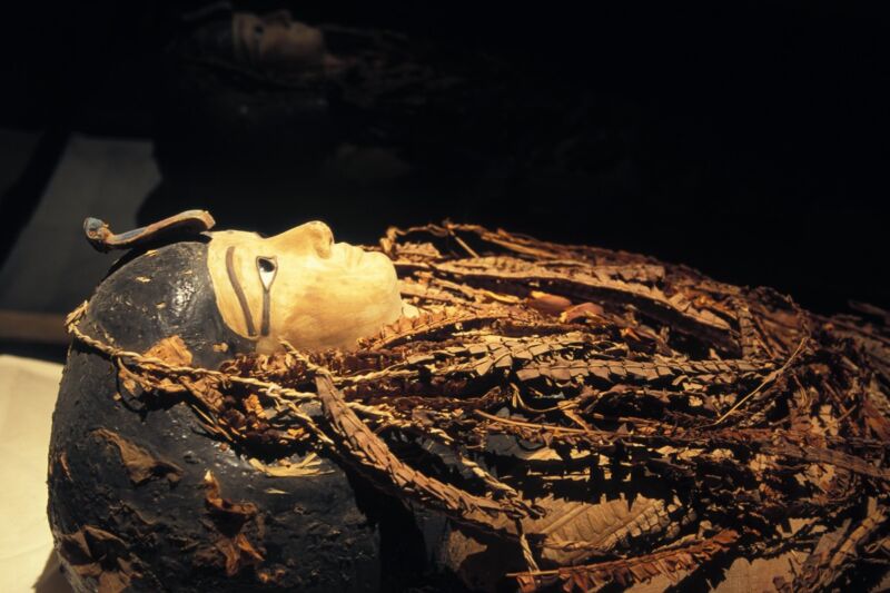 “Digitally unwrapping” Amenhotep I’s mummy shows pharaoh died around age 35
