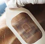 Wearable Biosensors For A Healthy Lifestyle