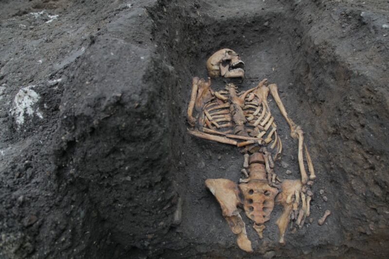 Written in the bones: Medieval skeletons tell story of social inequality in Cambridge