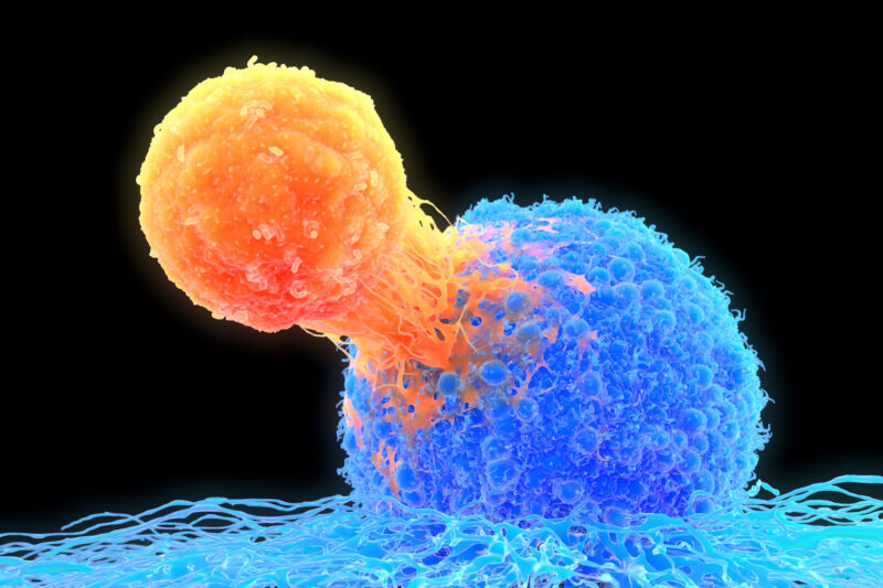 For T-cells, omicron is nothing unusual