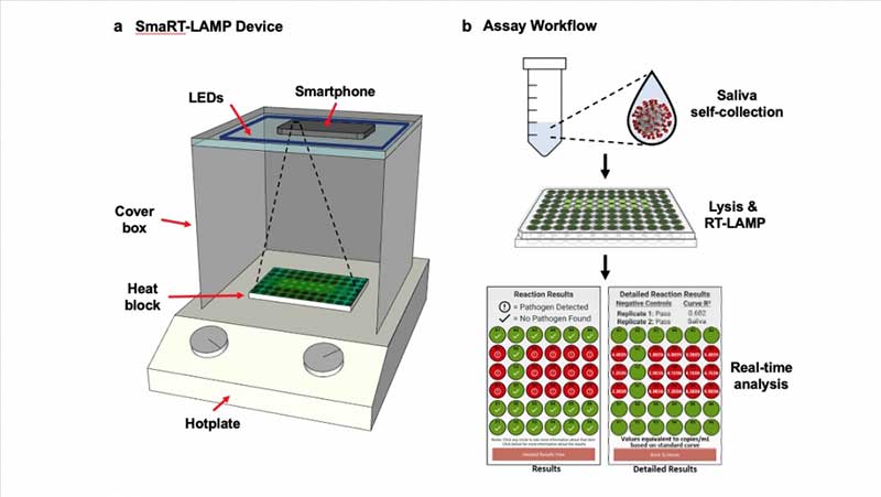 Researchers Explore How Smartphones Can Be Used For Faster, Cheaper COVID19 Test