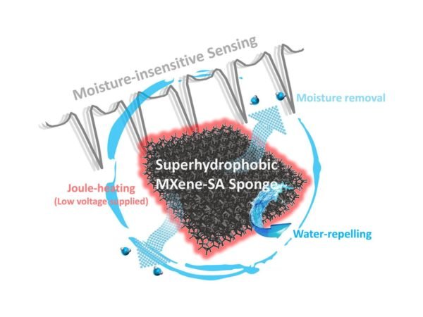 New research advances wearable medical sensors