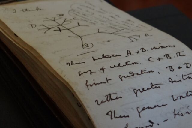 Mysterious benefactor returns Charles Darwin’s missing notebooks after 20 years