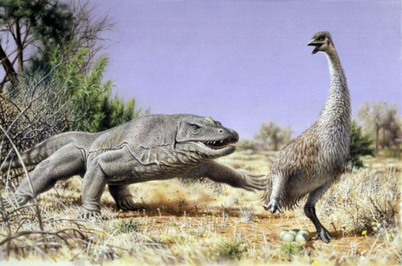 Mysterious ancient giant eggs Down Under laid by Aussie “demon ducks of doom”