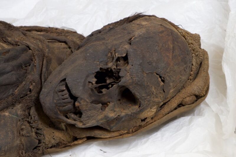 The case of the murdered mummies: “virtual autopsy” reveals fatal injuries