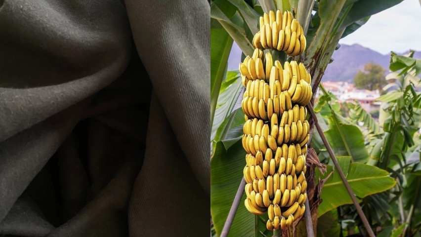 This Shirt Is Bananas—Creating A Fruity Alternative For Wasteful Fast Fashion #WearableWednesday