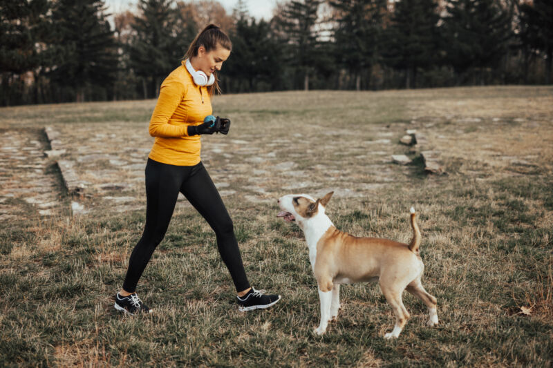 Punishment, puppies, and science: Bringing dog training to heel