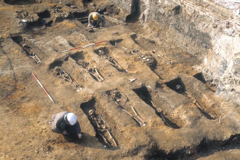 Black Death etched a mark on our genetics, warping immune responses, study finds