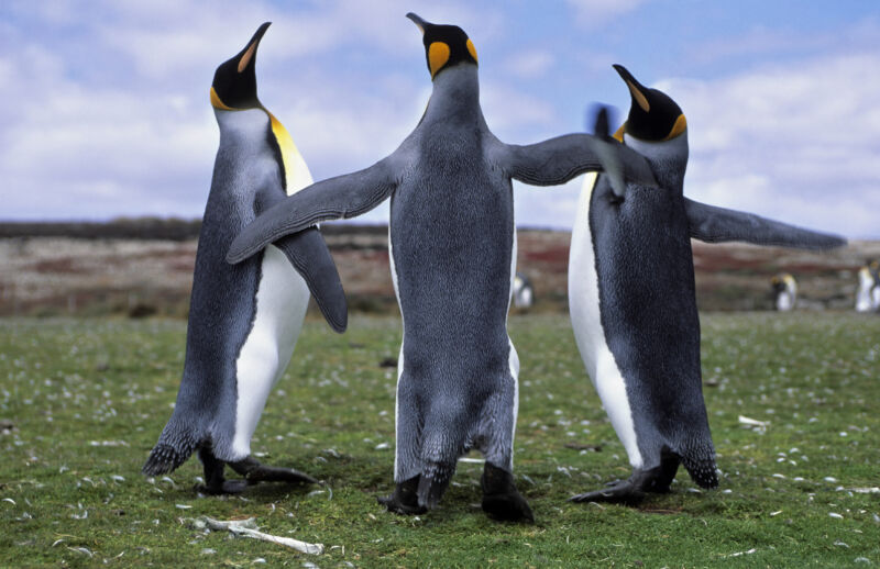 Linux 6.0 arrives with support for newer chips, core fixes, and oddities