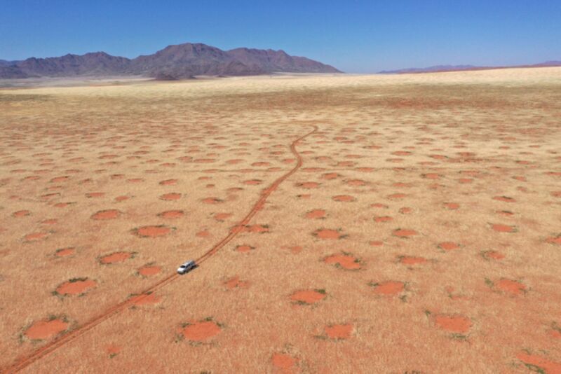 Myth, busted: Formation of Namibia’s fairy circles isn’t due to termites