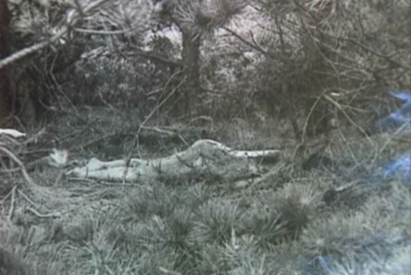 After nearly 50 years, FBI identifies “Lady of the Dunes” murder victim