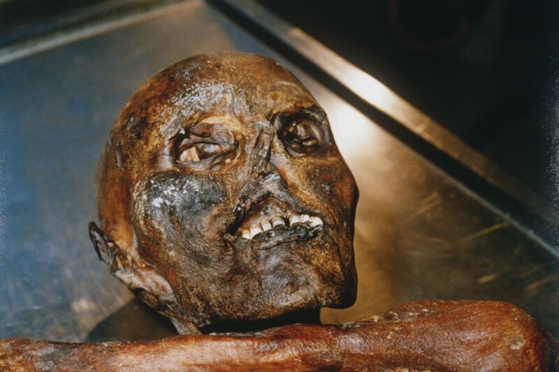 Study: Ötzi the Iceman probably thawed and refroze several times