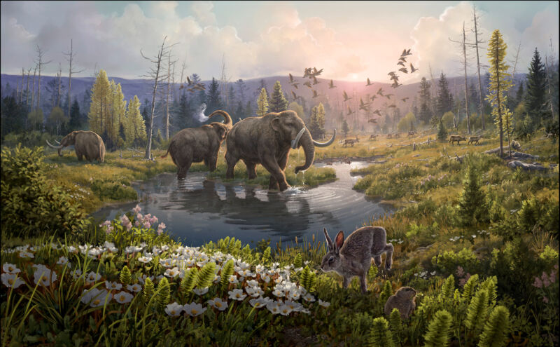 Oldest DNA yet sequenced shows mastodons once roamed a warmer Greenland