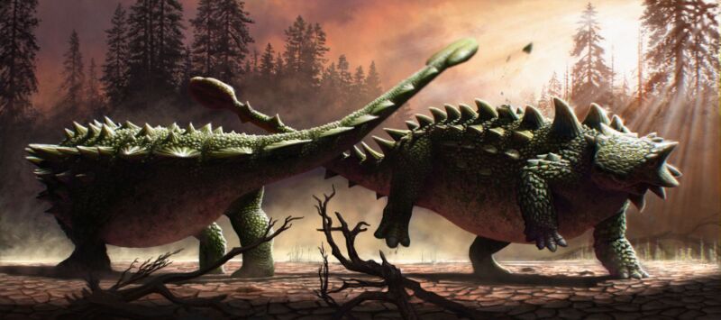 New find suggests ankylosaur’s tail clubs were for bashing each other