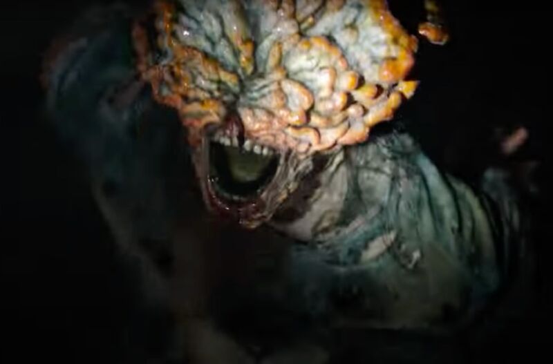 Meet the real zombifying fungus behind the fictional Last of Us outbreak