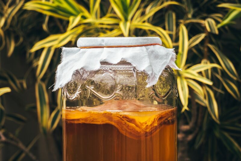 Kombucha electronics? Sure, why not?