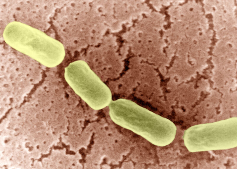 At least 67 people got botulism after trying to paralyze their stomachs