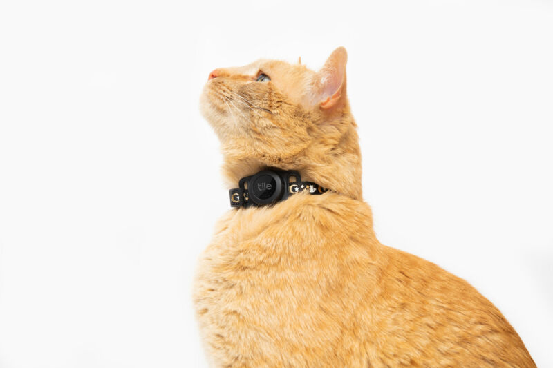 Tile should—and needs to—do better than the DIY-looking “Tile for Cats”