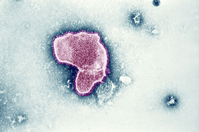 In a world first, RSV vaccines wins FDA approval for adults 60 and up