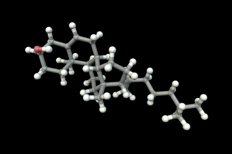 Billion-year-old grease hints at long history of complex cells
