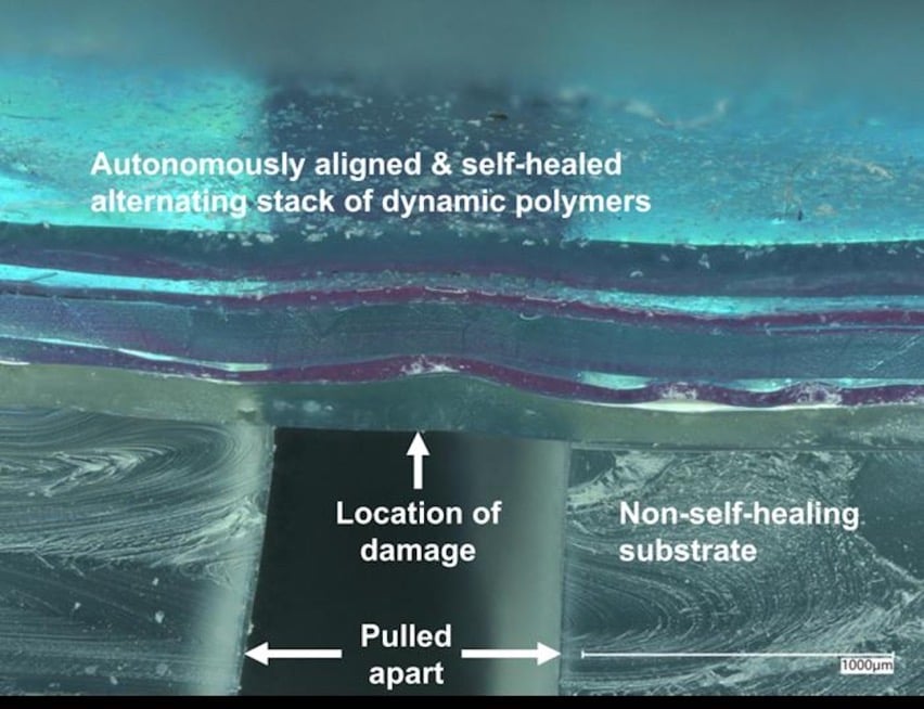 ‘Self-Healing’ Electronic Skin Can Patch Itself Up After A Cut, Just Like Humans #WearableWednesday