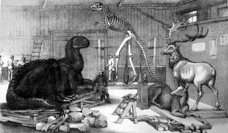 The real culprit behind the 1871 vandalism of the Paleozoic Museum in Central Park