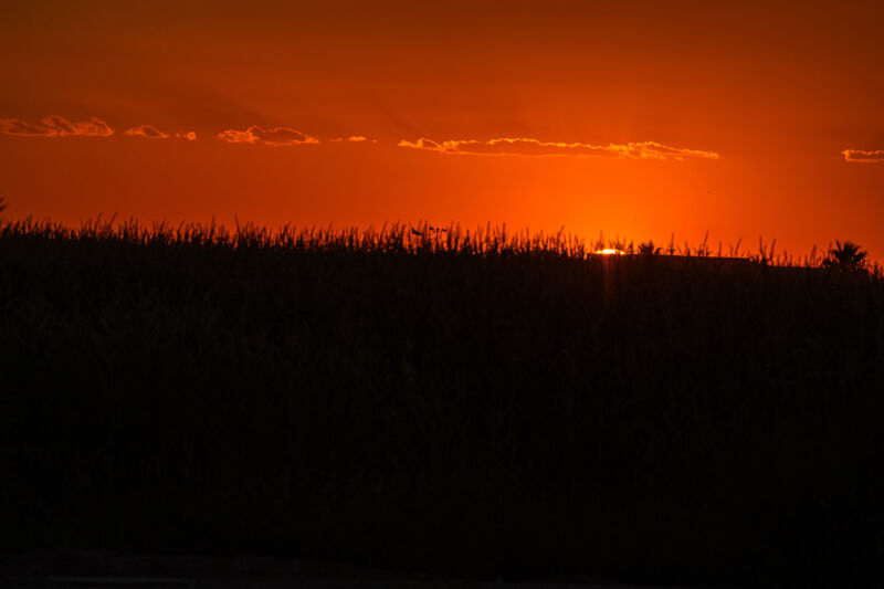 The heat wave scorching the US is a self-perpetuating monster