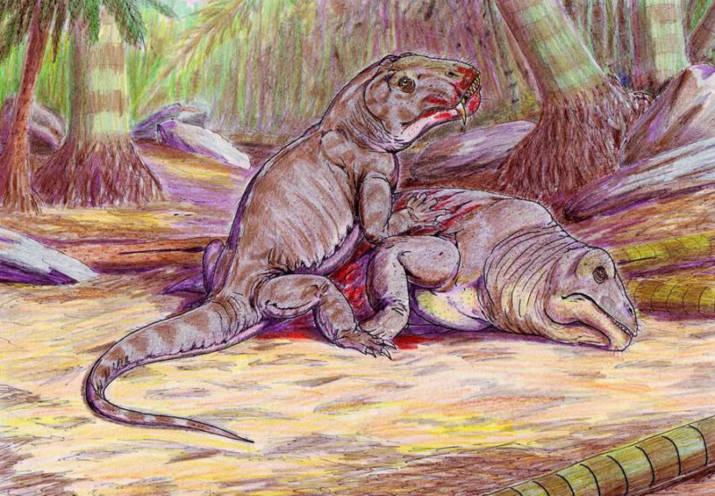Mass extinction event 260 million years ago resulted from climate change, studies say
