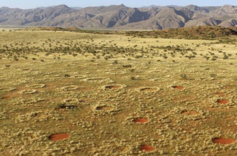 The Namibian fairy circle debate rages on: Could it be sand termites after all?
