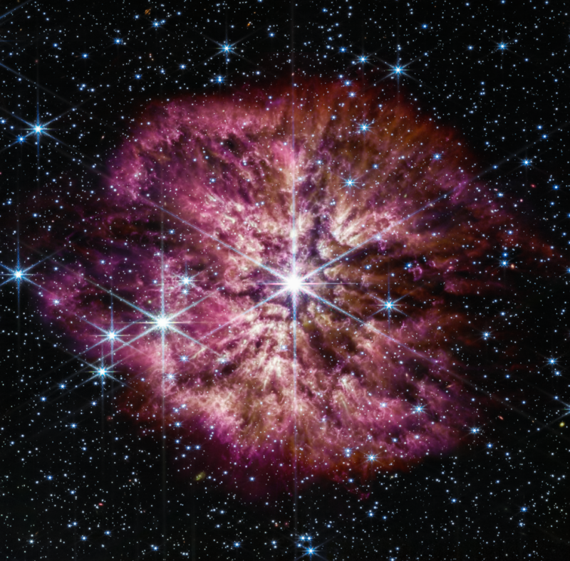 Heavy, highly magnetic star may be first magnetar precursor we’ve seen