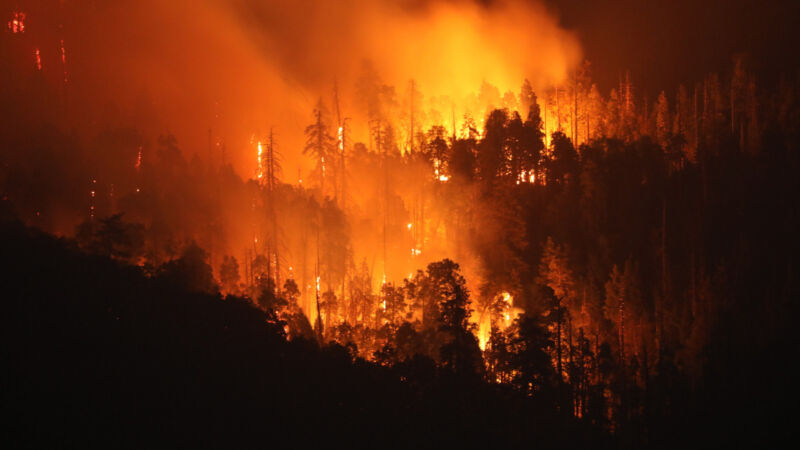 California deploys AI-powered wildfire detection systems