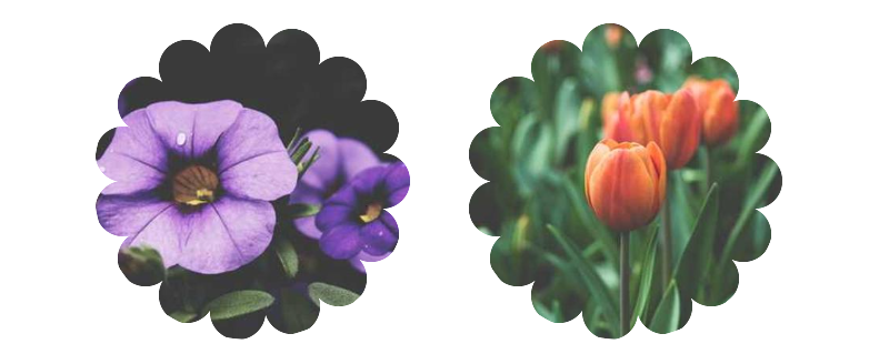 Re-Creating The Pop-Out Hover Effect With Modern CSS (Part 1)