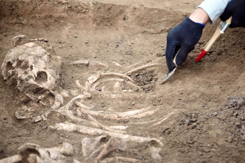 New analysis suggests human ancestors nearly died out