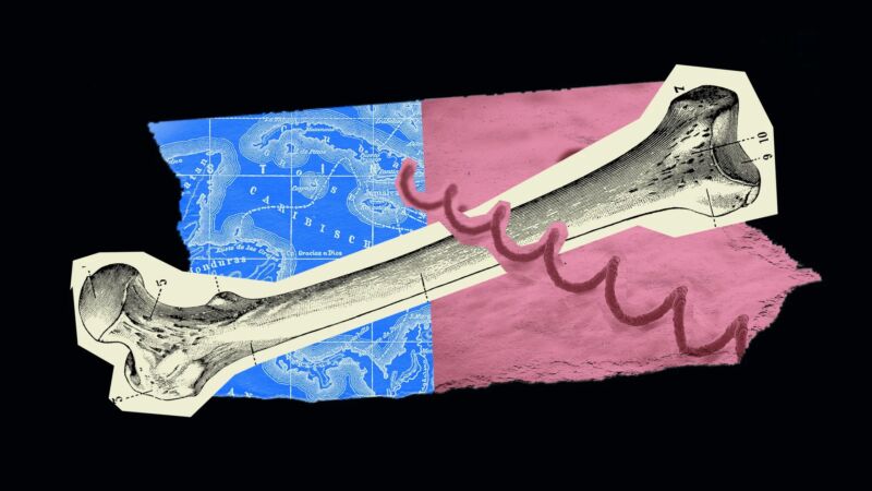 The history of syphilis is being rewritten by a medieval skeleton