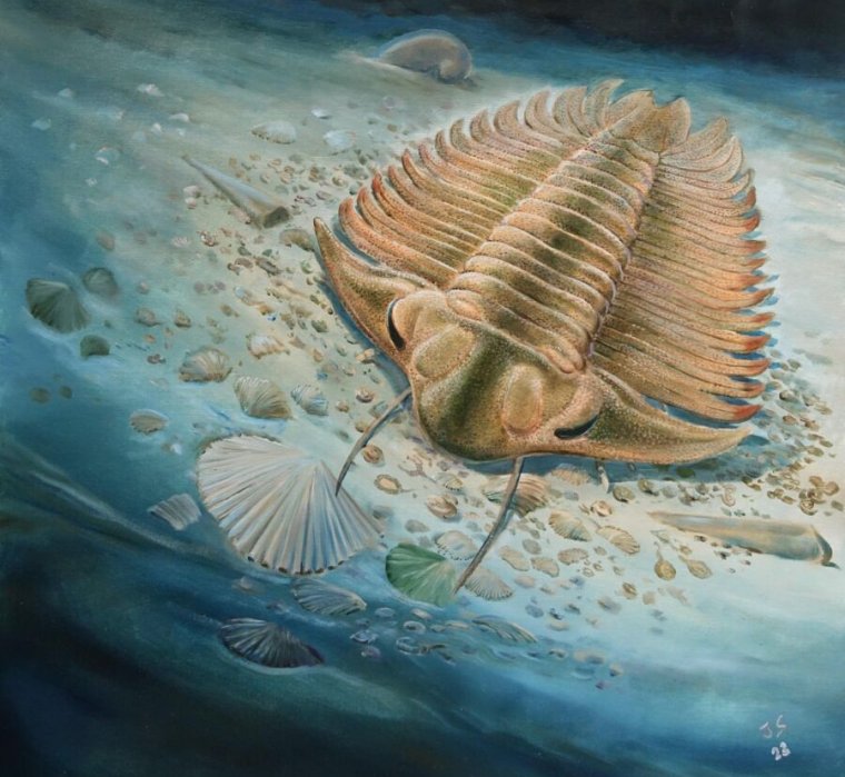 We finally know for sure what a trilobite ate