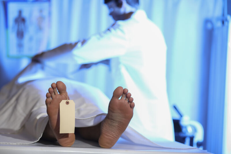 Stench leads officials to 189 rotting corpses at taxidermist’s funeral home