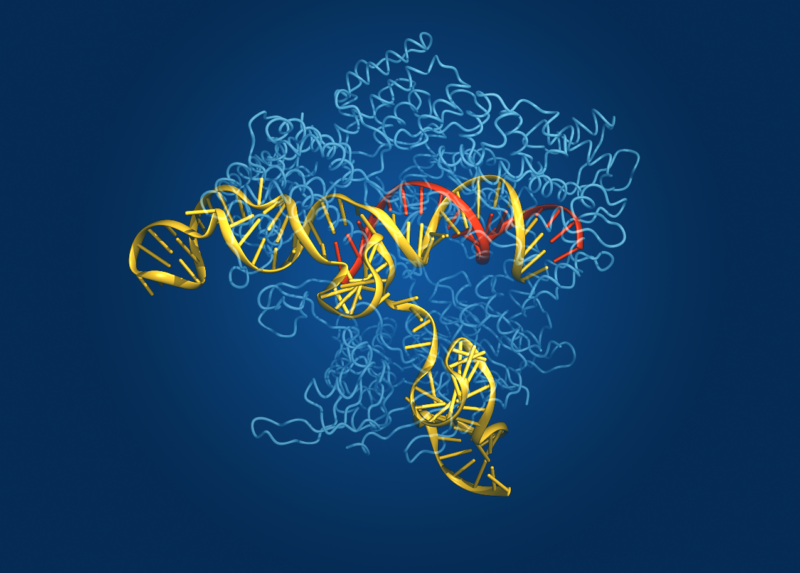 New algorithm finds lots of gene-editing enzymes in environmental DNA