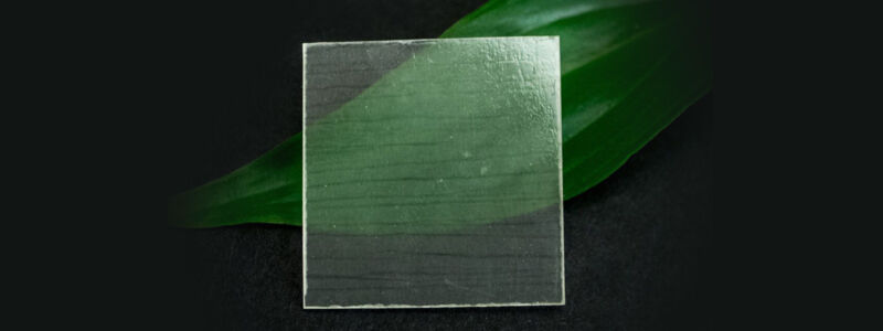 Why scientists are making transparent wood