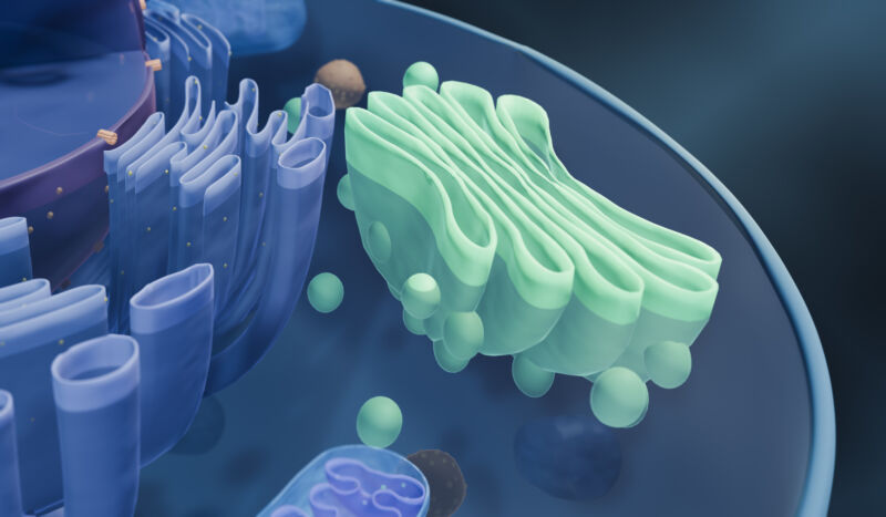 Our oldest microbial ancestors were way ahead of their time