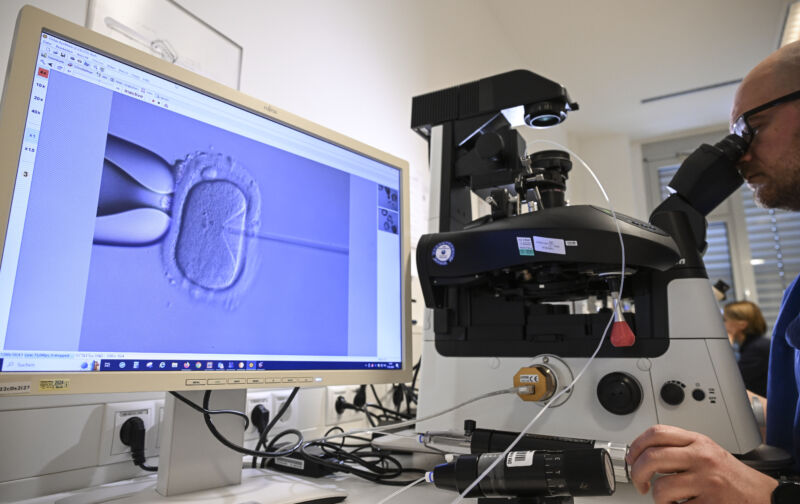 Frozen embryos are “children,” according to Alabama’s Supreme Court
