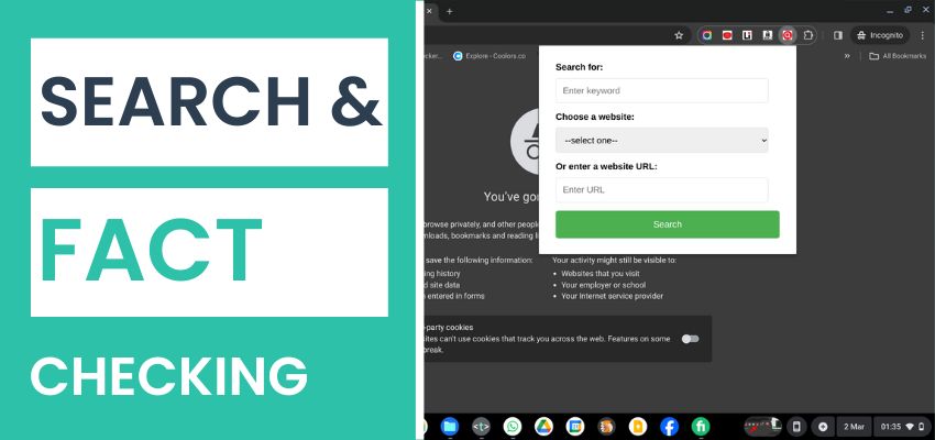 Crafting a Web Search Tool for Professional Writers