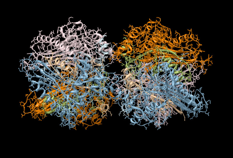 Antibodies against anything? AI tool adapted to make them