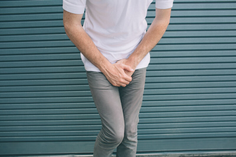 To pee or not to pee? That is a question for the bladder—and the brain