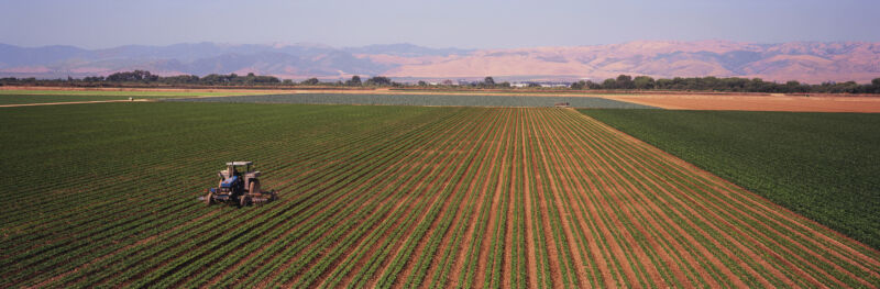 Nitrogen-using bacteria can cut farms’ greenhouse gas emissions 