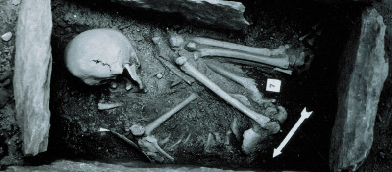 Egalitarian oddity found in the Neolithic