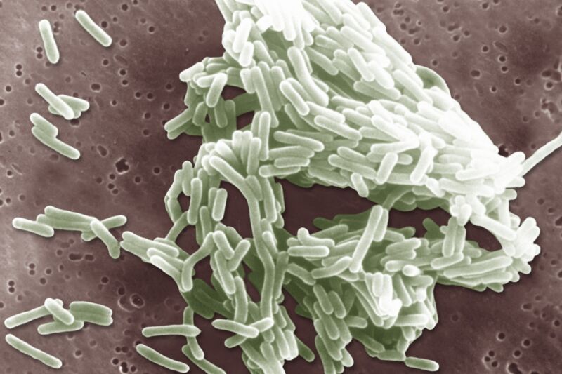 Massive nationwide meat-linked outbreak kills 5 more, now largest since 2011