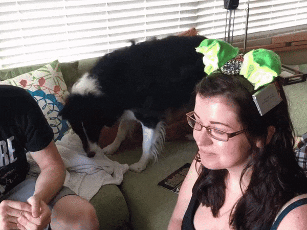 Circuit Playground Express Perk-up Ears #WearableWednesday