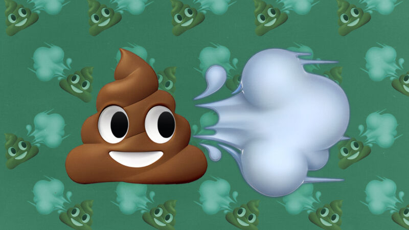 AI digests repetitive scatological document into profound “poop” podcast
