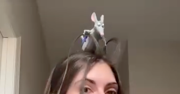 Remy Wearable Headband #ratatouille